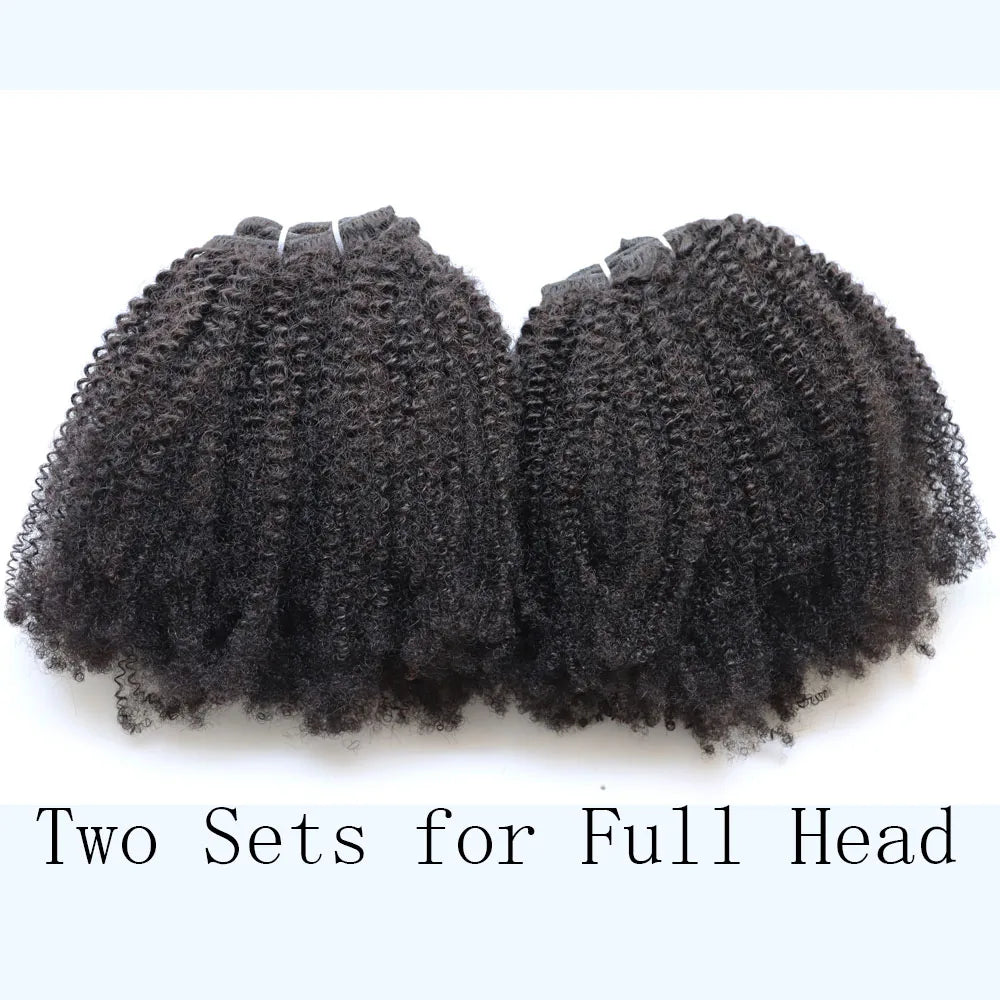 4C Afro Kinky Curly Clip In Human Hair Extensions for Women