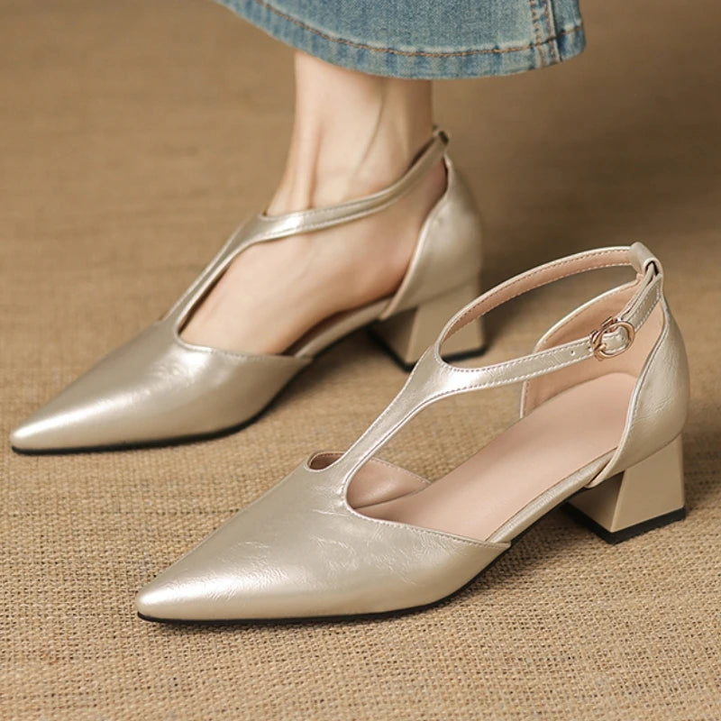 Point Toe Square Heel Mary Jane Pumps