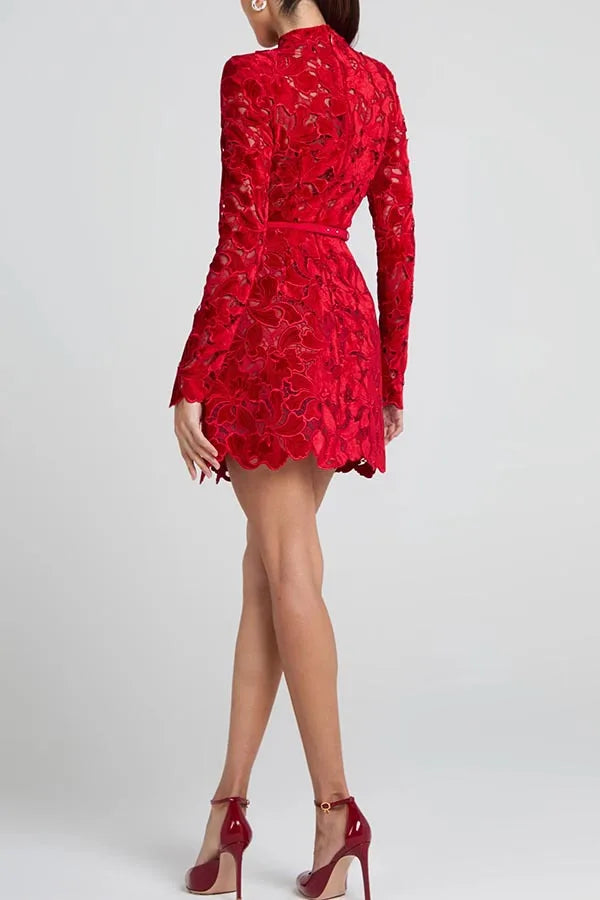 Long Sleeve Simple Elegant Mini Dress, Women Spring Autumn O Neck Sweet Party Dress, Solid Patchwork Hollow Ladies Dress