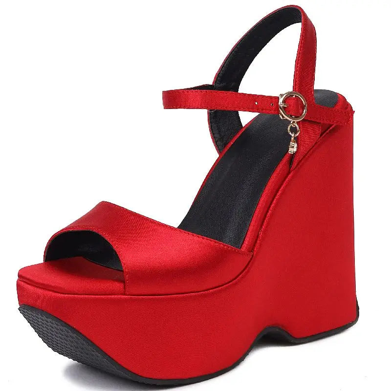 Open Toe Platform Wedge Sandals
