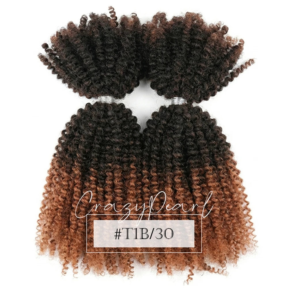 Natural Afro Kinky Curly Human Hair Extensions for Women