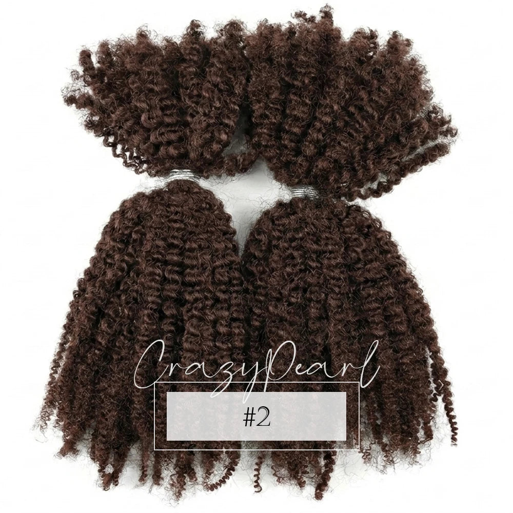 Natural Afro Kinky Curly Human Hair Extensions for Women