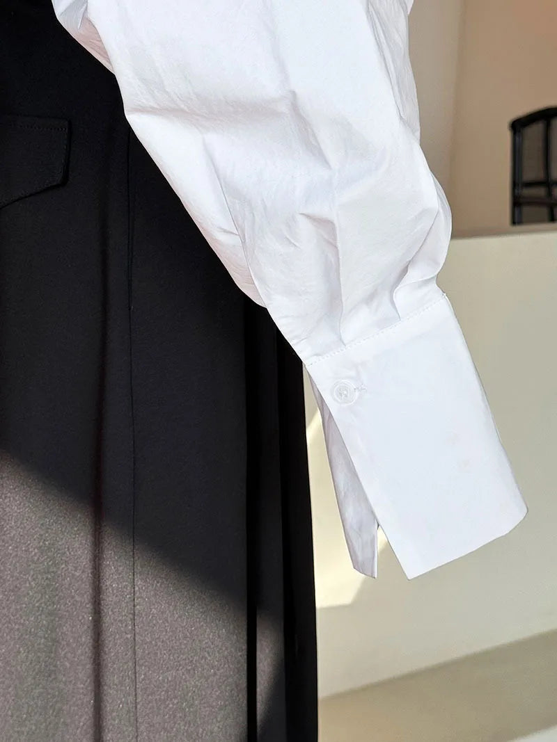 Batwing Sleeve Stand Collar Blouse