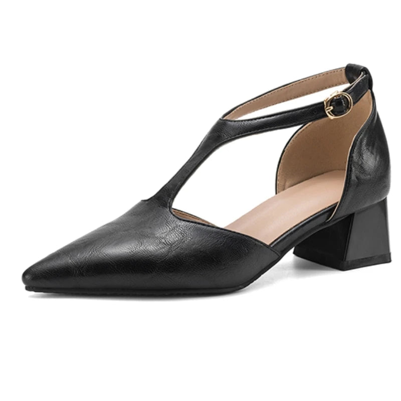 Point Toe Square Heel Mary Jane Pumps