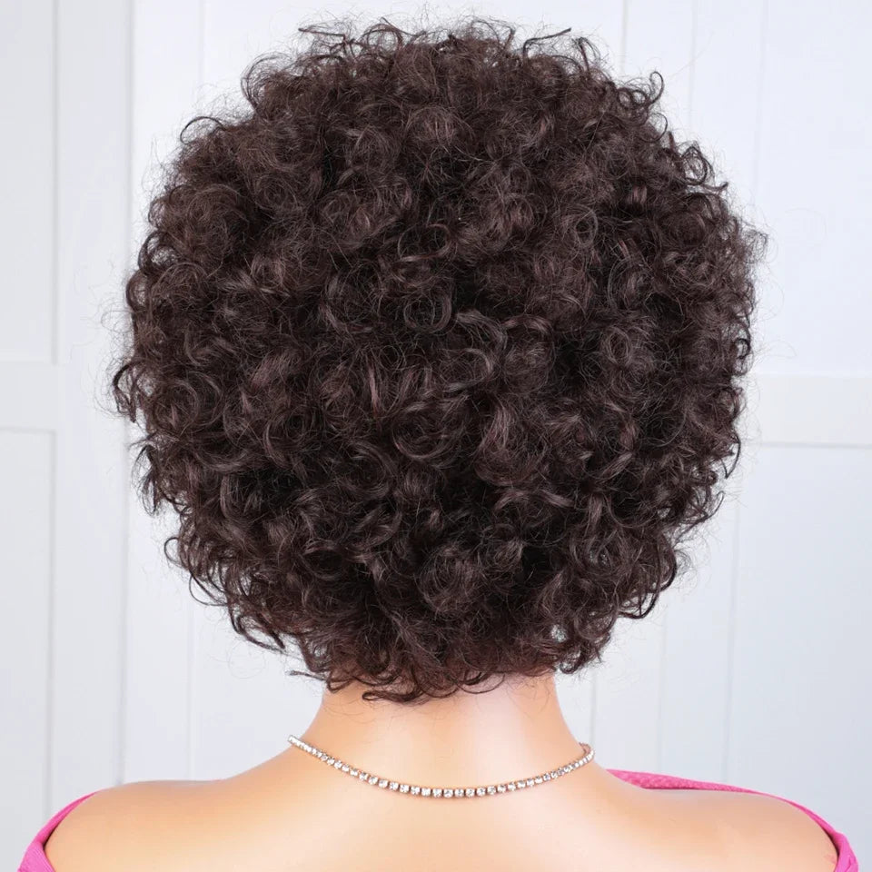 Short Kinky Curly Pixie Bob Human Hair Wig for Women