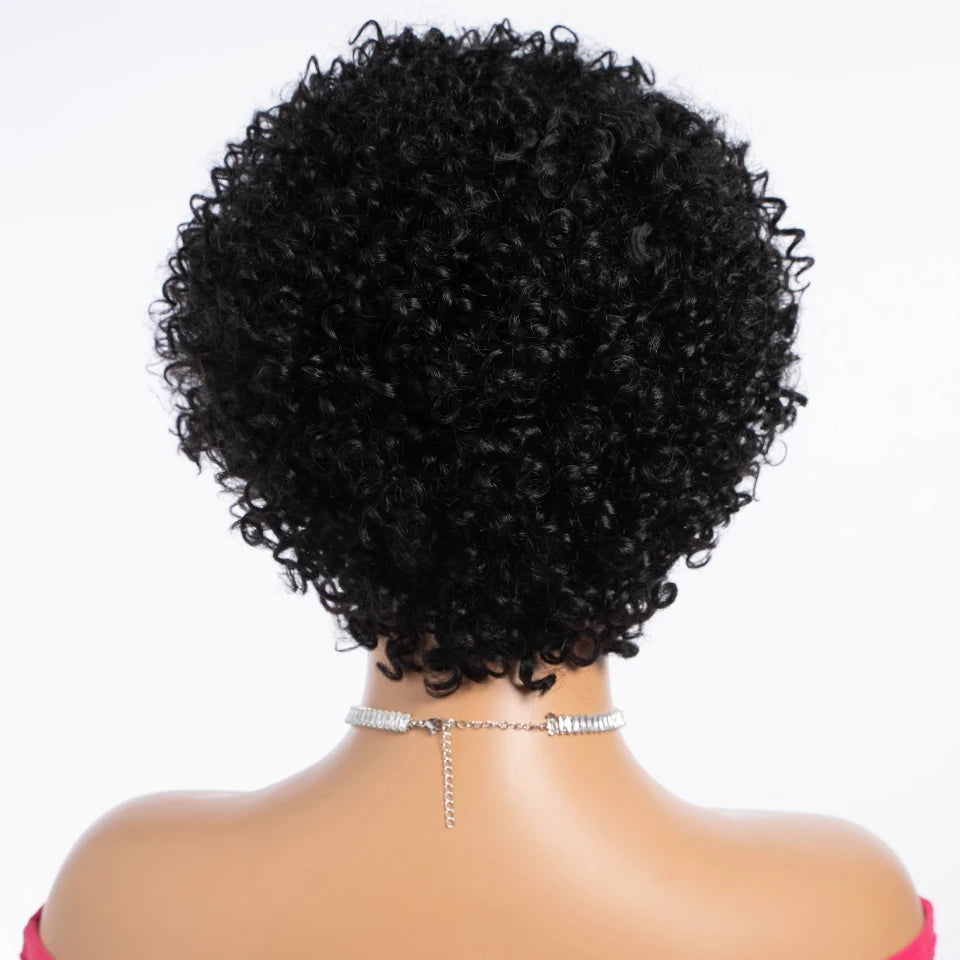Short Kinky Curly Pixie Bob Human Hair Wig for Women