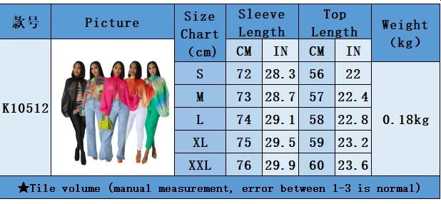 Sheer Lantern Sleeve Blouse with Tie Back for Women