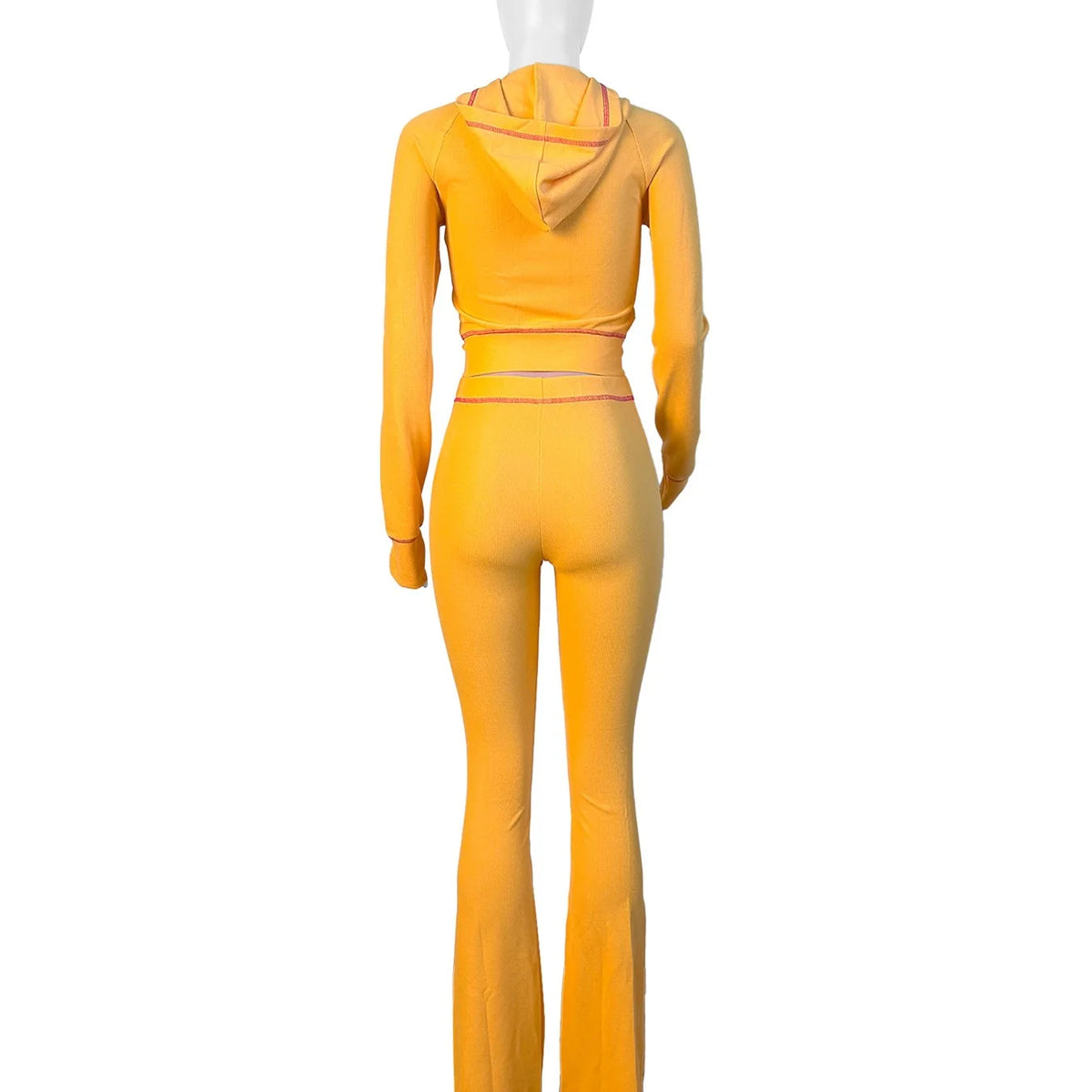 Hooded Long Sleeve Two Piece Matching Pants Set for Women