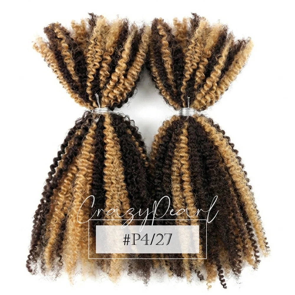 Natural Afro Kinky Curly Human Hair Extensions for Women