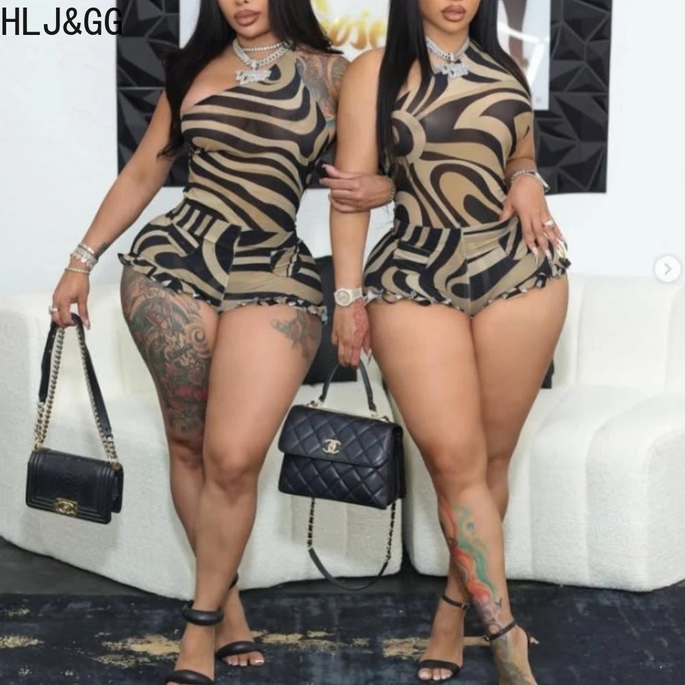 Zebra Print Mesh See Through Two Piece Set for Women