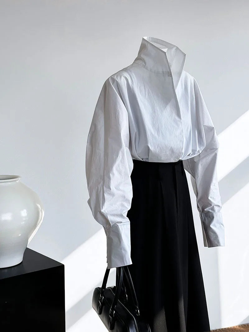 Batwing Sleeve Stand Collar Blouse