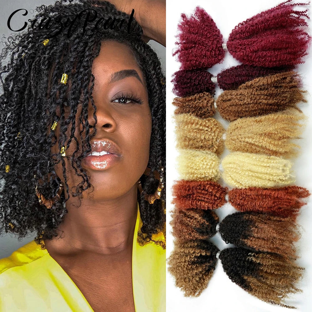 Natural Afro Kinky Curly Human Hair Extensions for Women