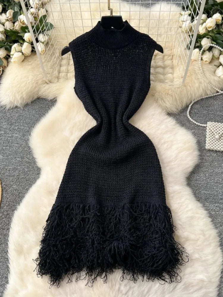 Elegant Round Neck Sleeveless Tassel Hem Bodycon Mini Knitted Dress for Women