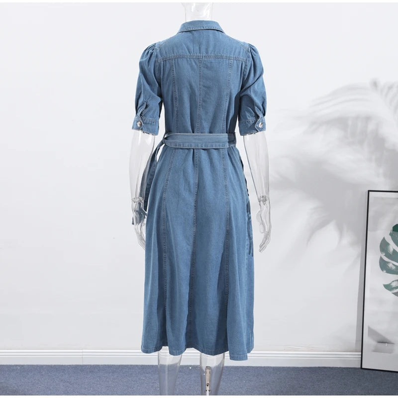 Casual A Line Single Breasted Denim Maxi Dress For Women