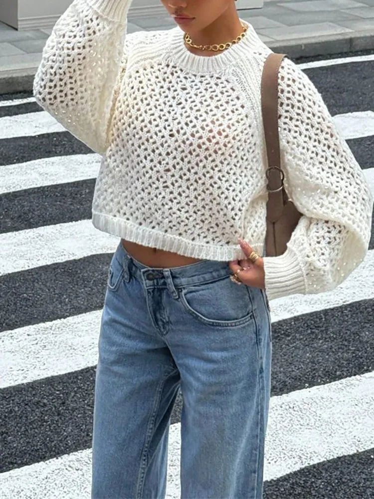 Long Sleeve Sheer Open Back Knit Sweater for Women