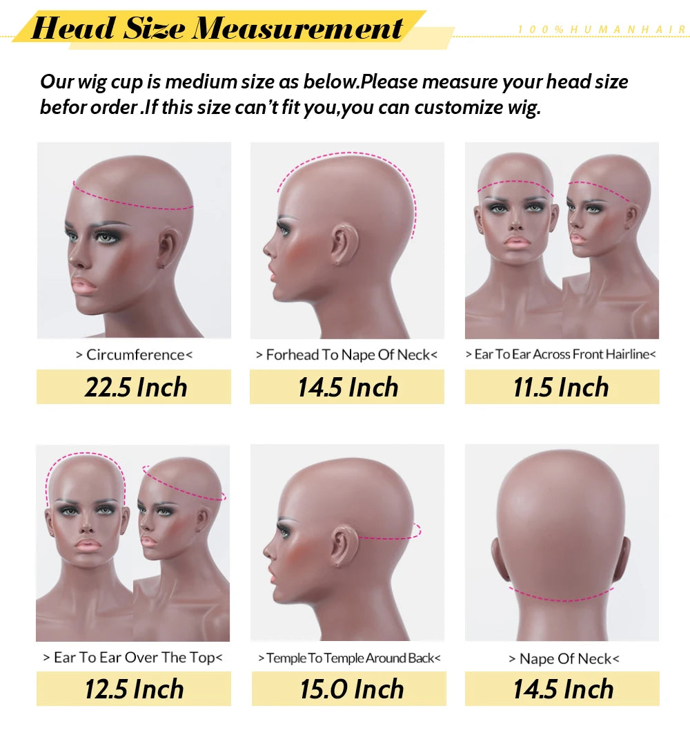 Afro Kinky Curly Lace Front Human Hair Wig for Women
