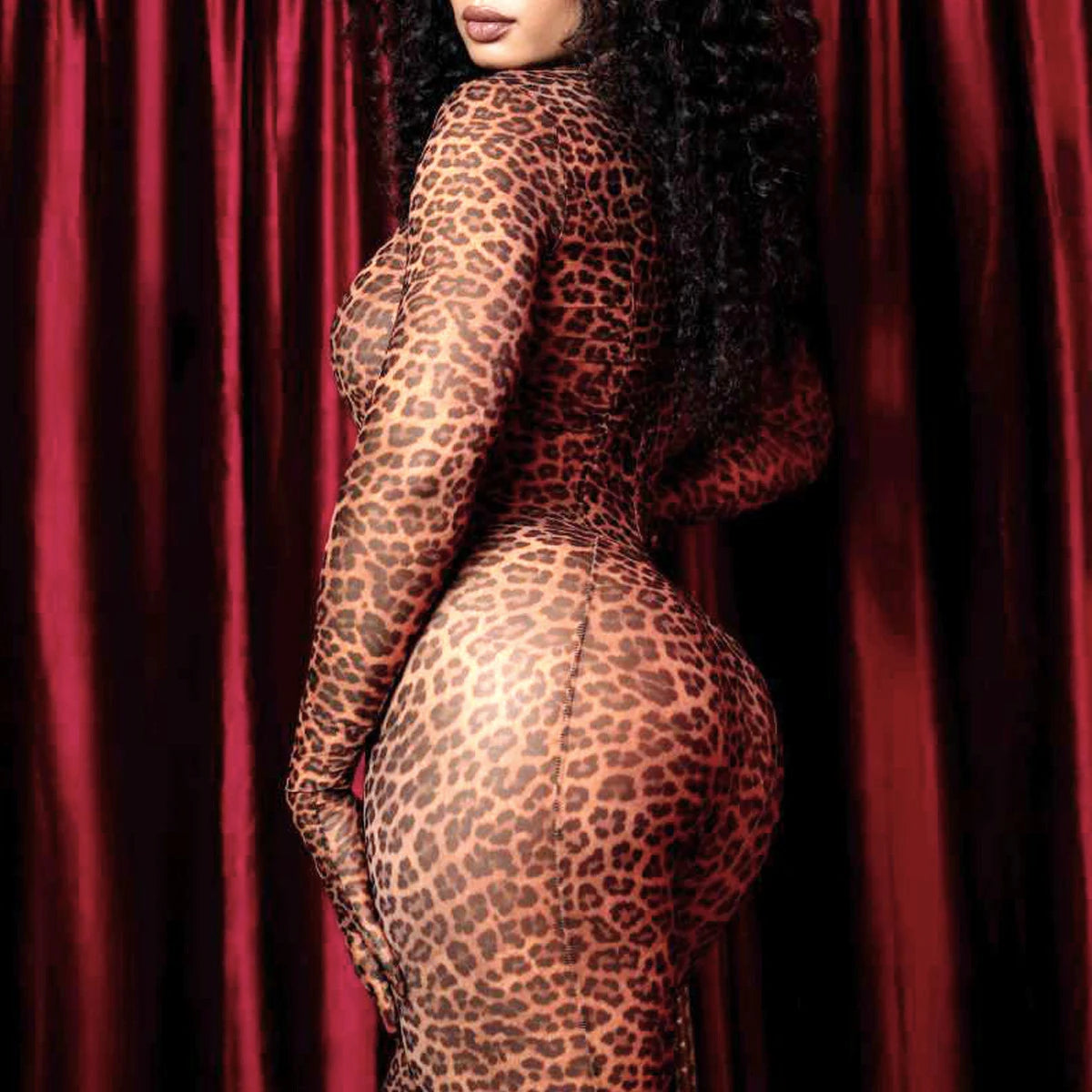 Slim Fit Leopard Print Long Sleeve Two Piece Set for Women
