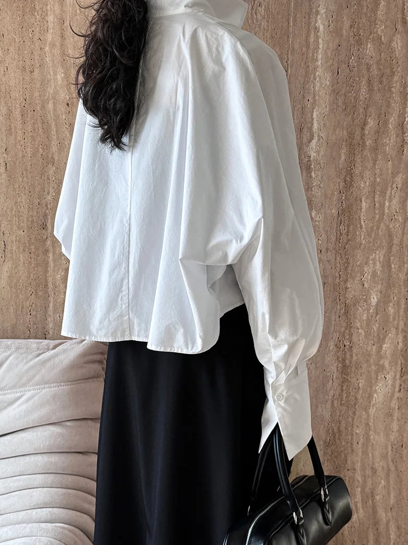 Batwing Sleeve Stand Collar Blouse