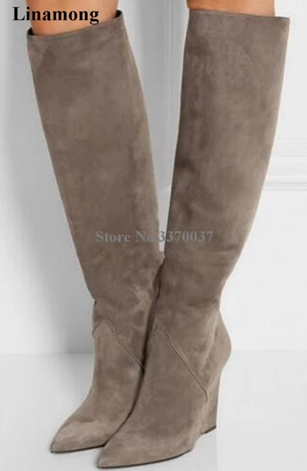 Pointed Toe Suede Winter Knee High Wedge Boots for Women