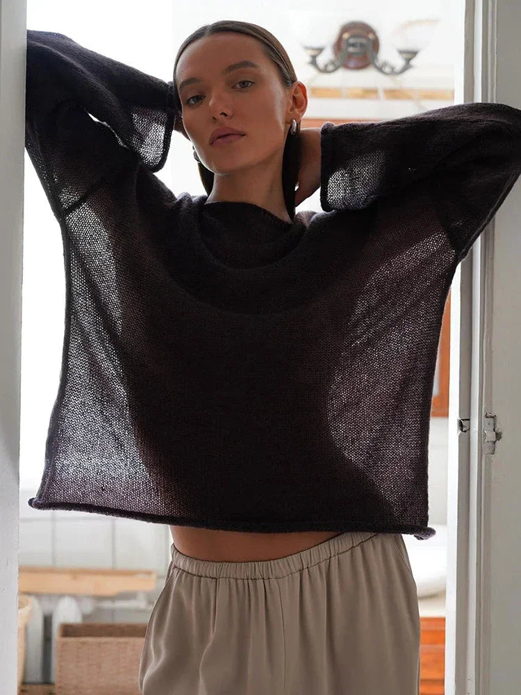 Sheer Hollow Knit Sweater