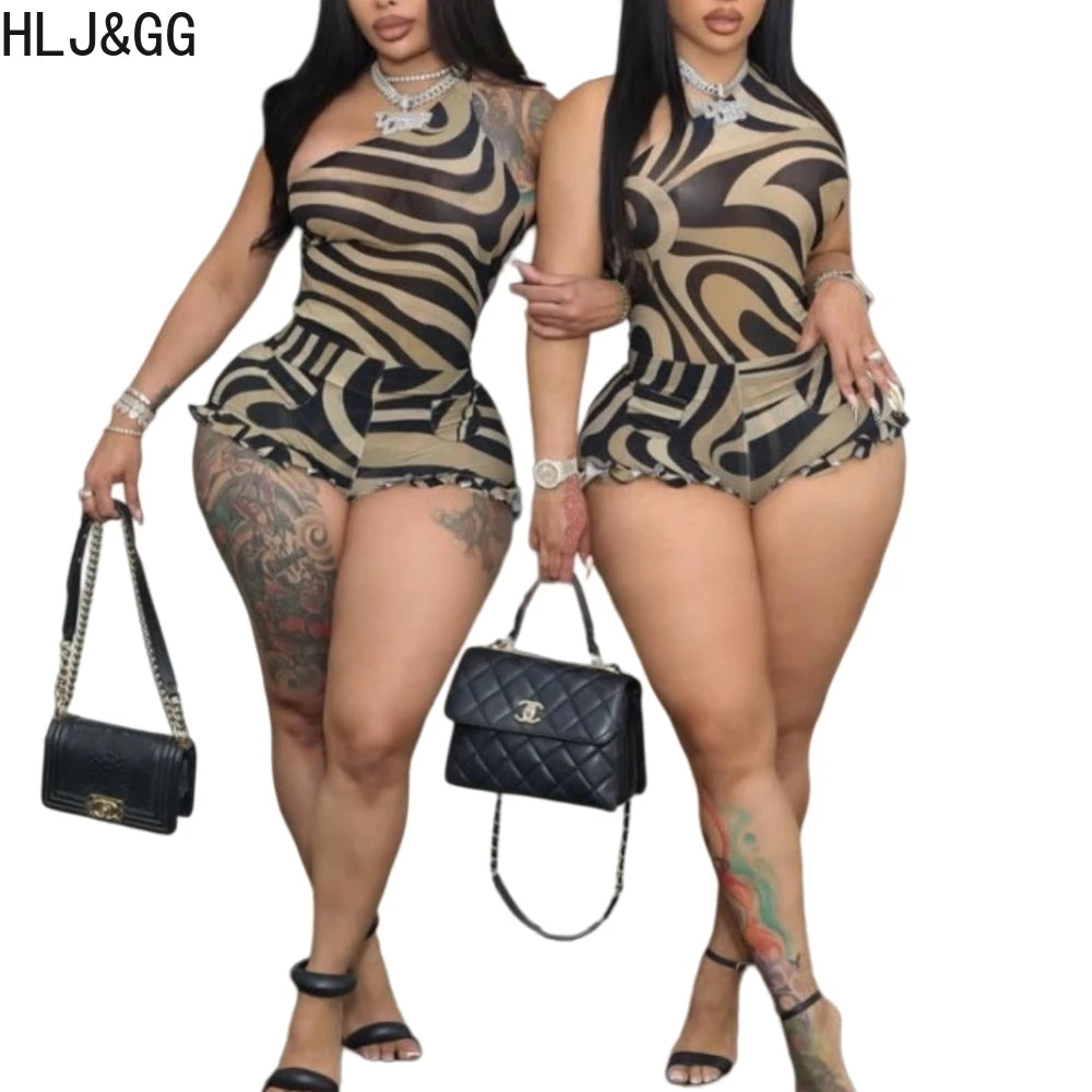 Zebra Print Mesh See Through Two Piece Set for Women