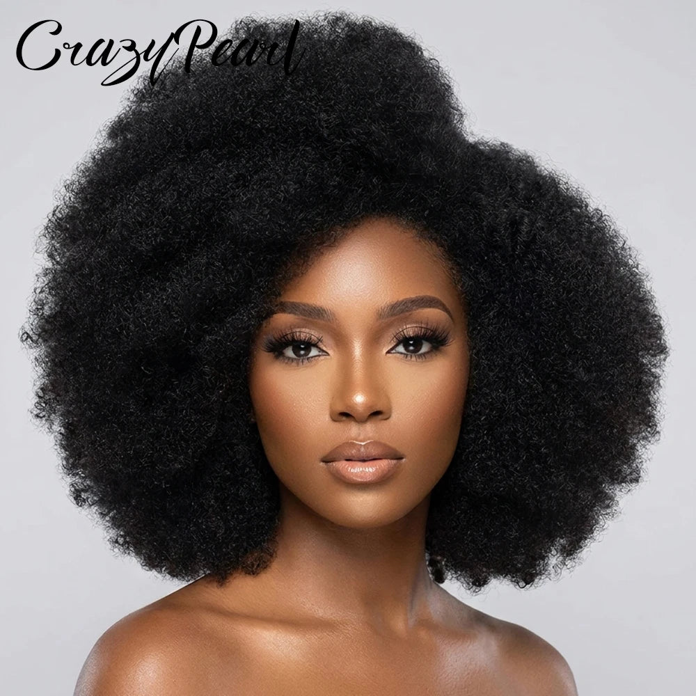 Afro Kinky Curly Lace Front Human Hair Wig for Women