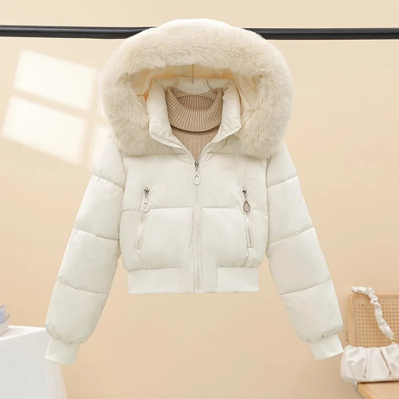 Warm Hooded Cotton Padded Winter Parka Coat for Women