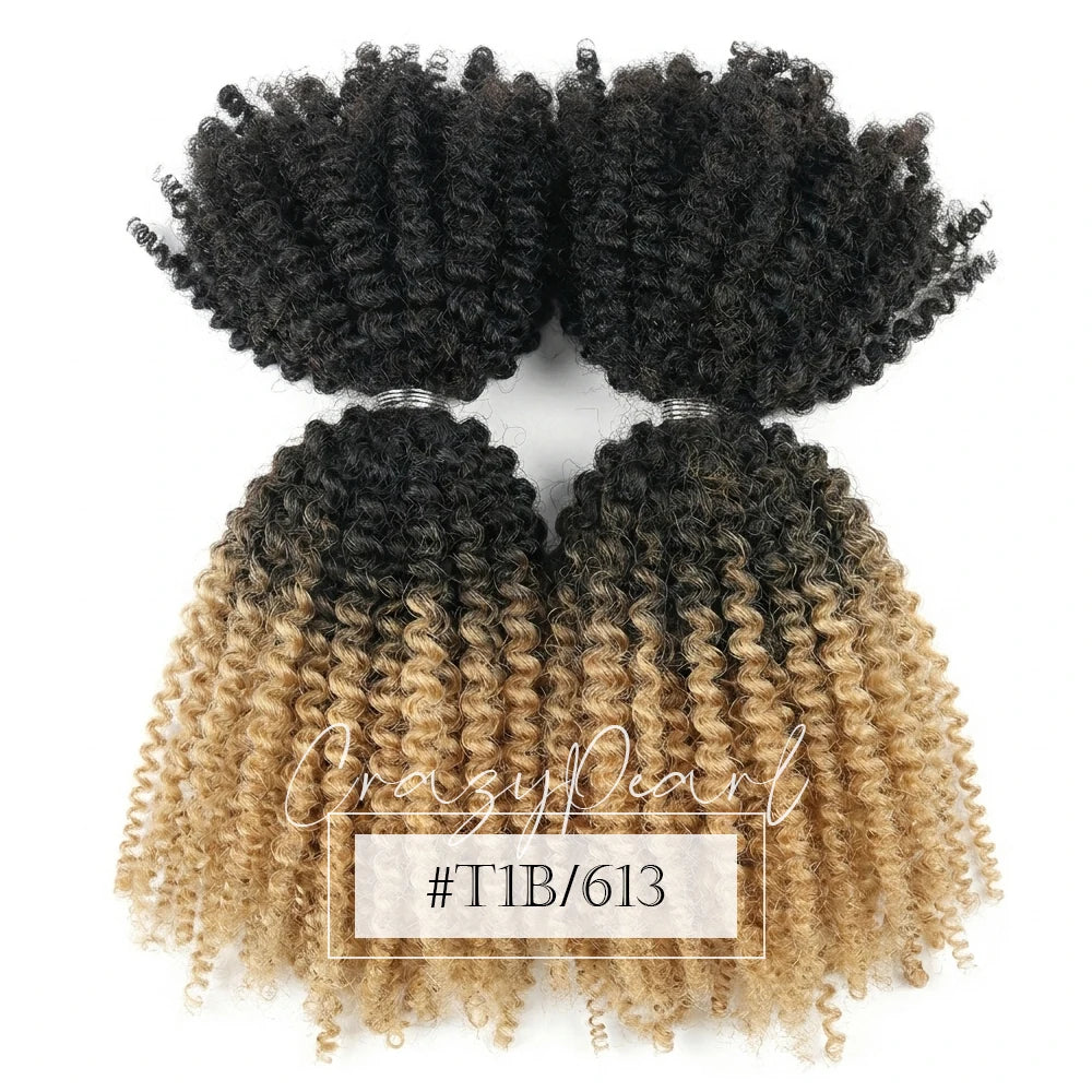 Natural Afro Kinky Curly Human Hair Extensions for Women