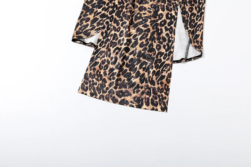Leopard Print Deep V-Neck Ruched Maxi Dress for Women