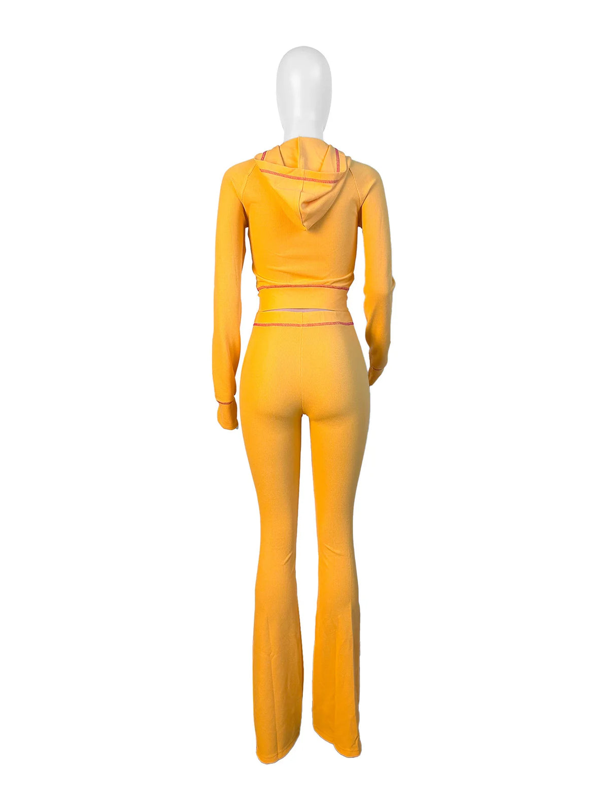 Hooded Long Sleeve Two Piece Matching Pants Set for Women