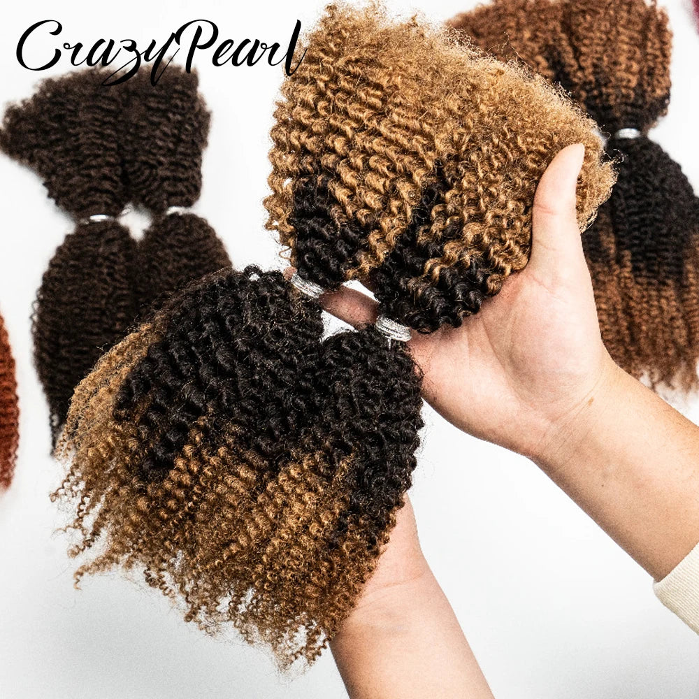 Natural Afro Kinky Curly Human Hair Extensions for Women