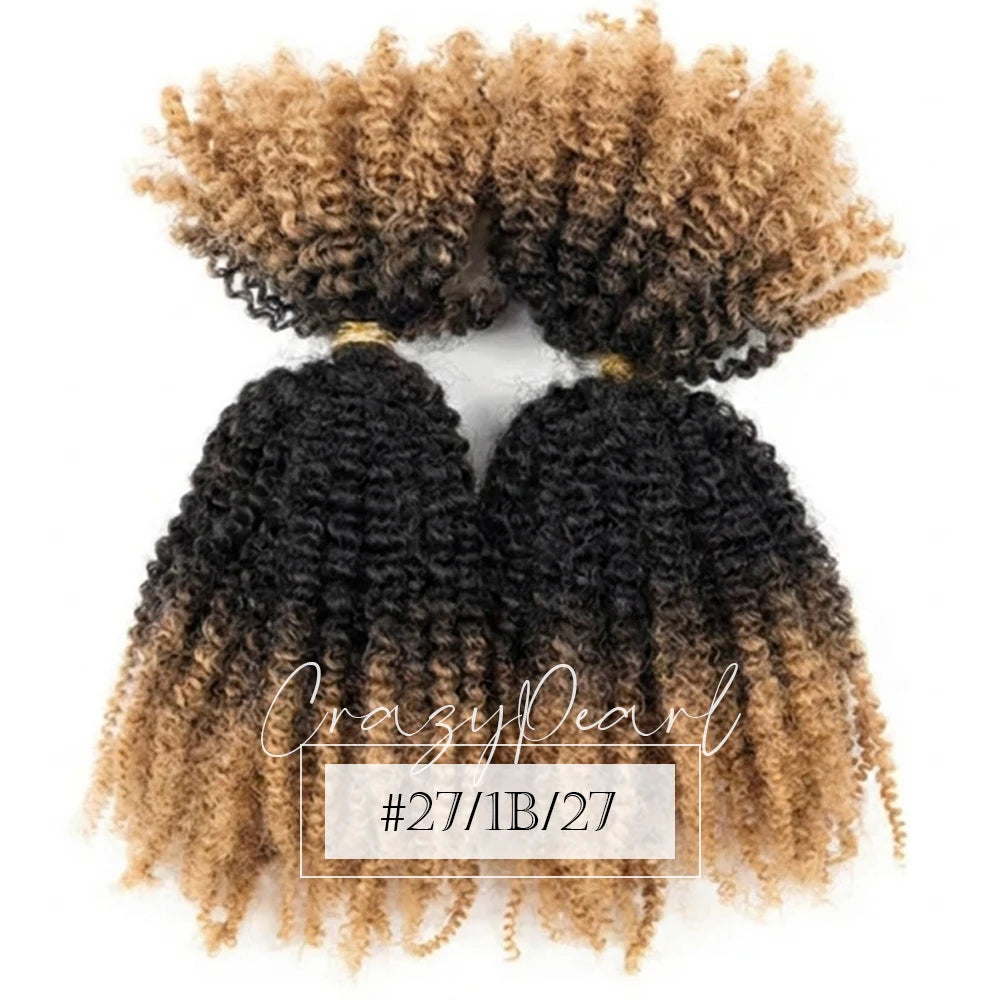 Natural Afro Kinky Curly Human Hair Extensions for Women