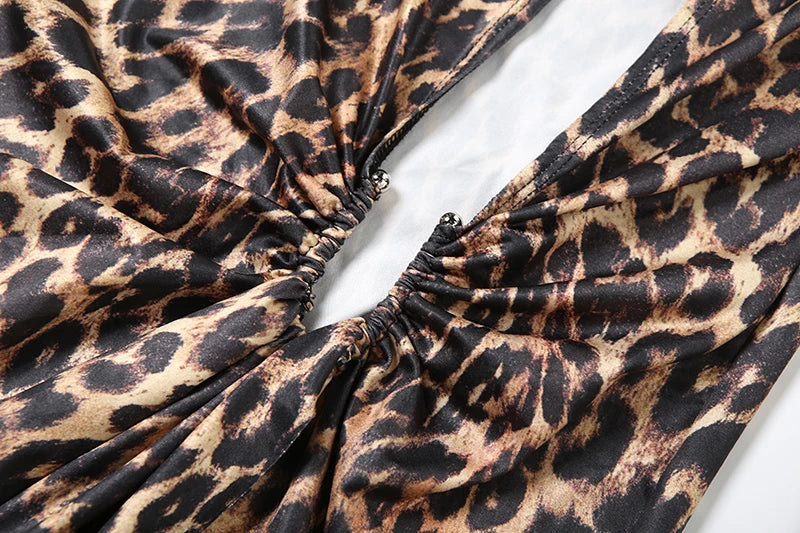 Leopard Print Deep V-Neck Ruched Maxi Dress for Women