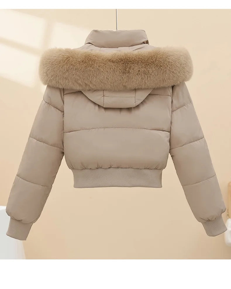 Warm Hooded Cotton Padded Winter Parka Coat for Women
