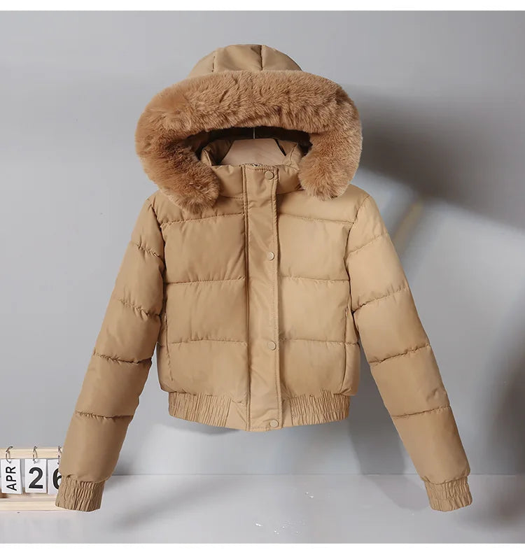 Solid Color Padded Winter Hooded Jacket