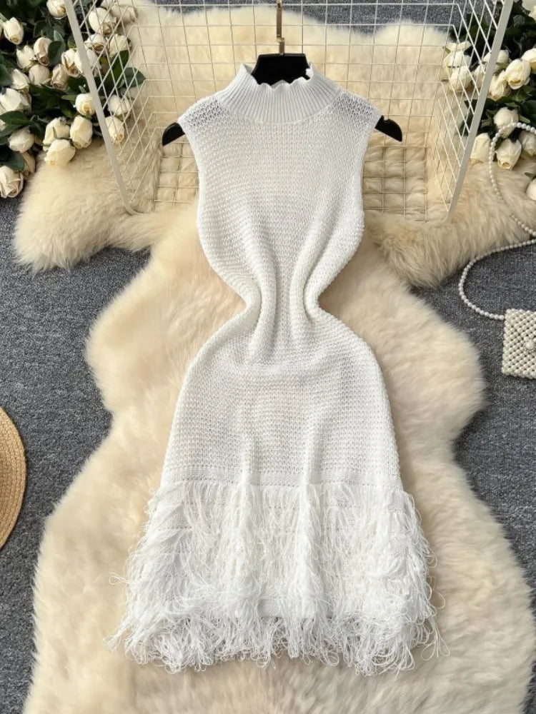Elegant Round Neck Sleeveless Tassel Hem Bodycon Mini Knitted Dress for Women