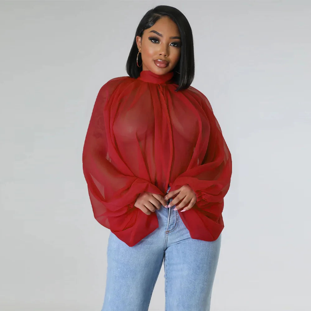 Sheer Lantern Sleeve Blouse with Tie Back for Women