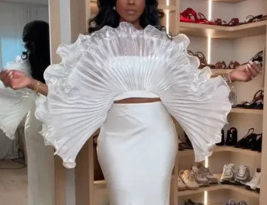 Sheer Pleated Ruffle Long Sleeve Top