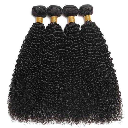 Brazilian Kinky Curly Jerry Remy Hair Bundle For Women