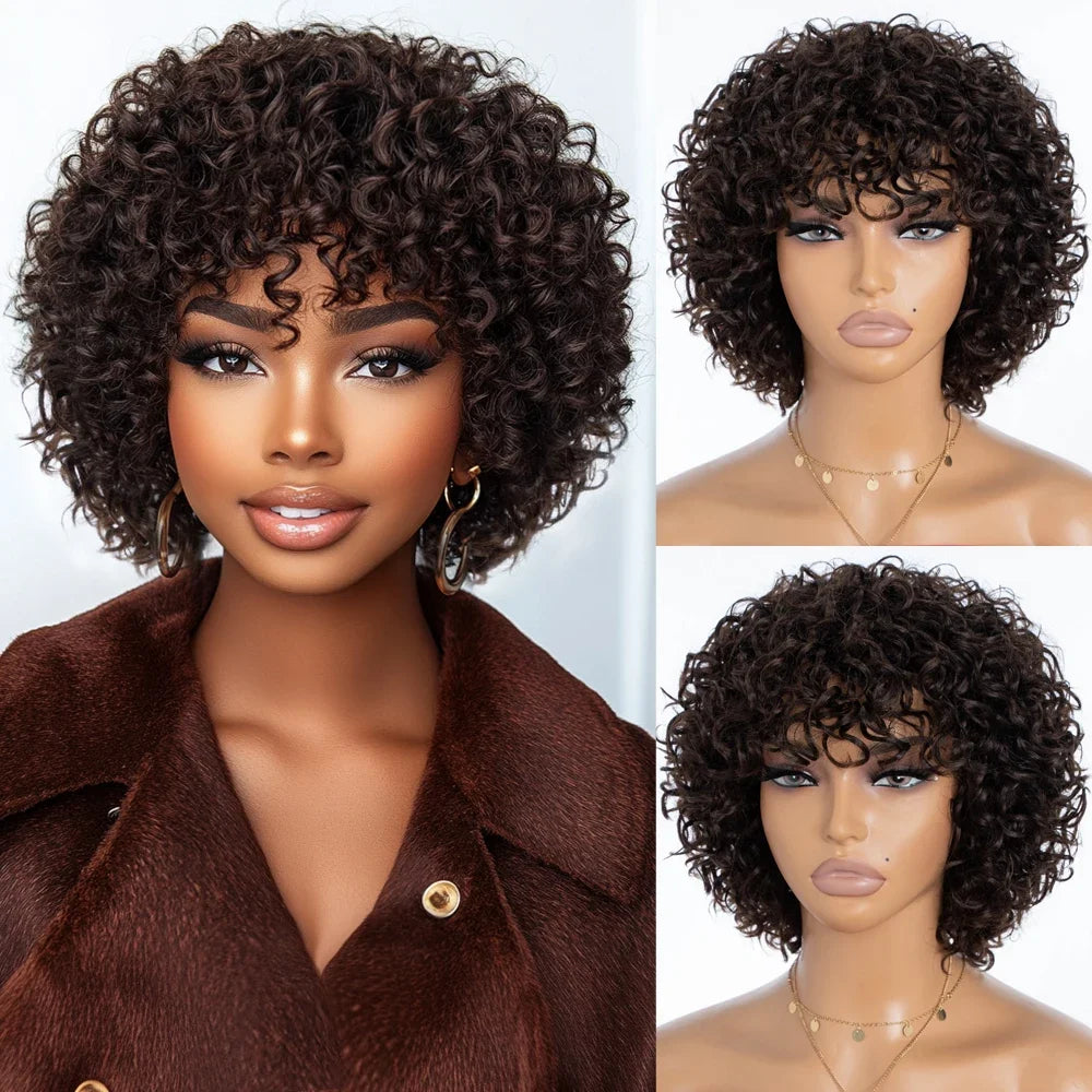 Short Kinky Curly Wig With Bangs And Mixed Highlights For Women