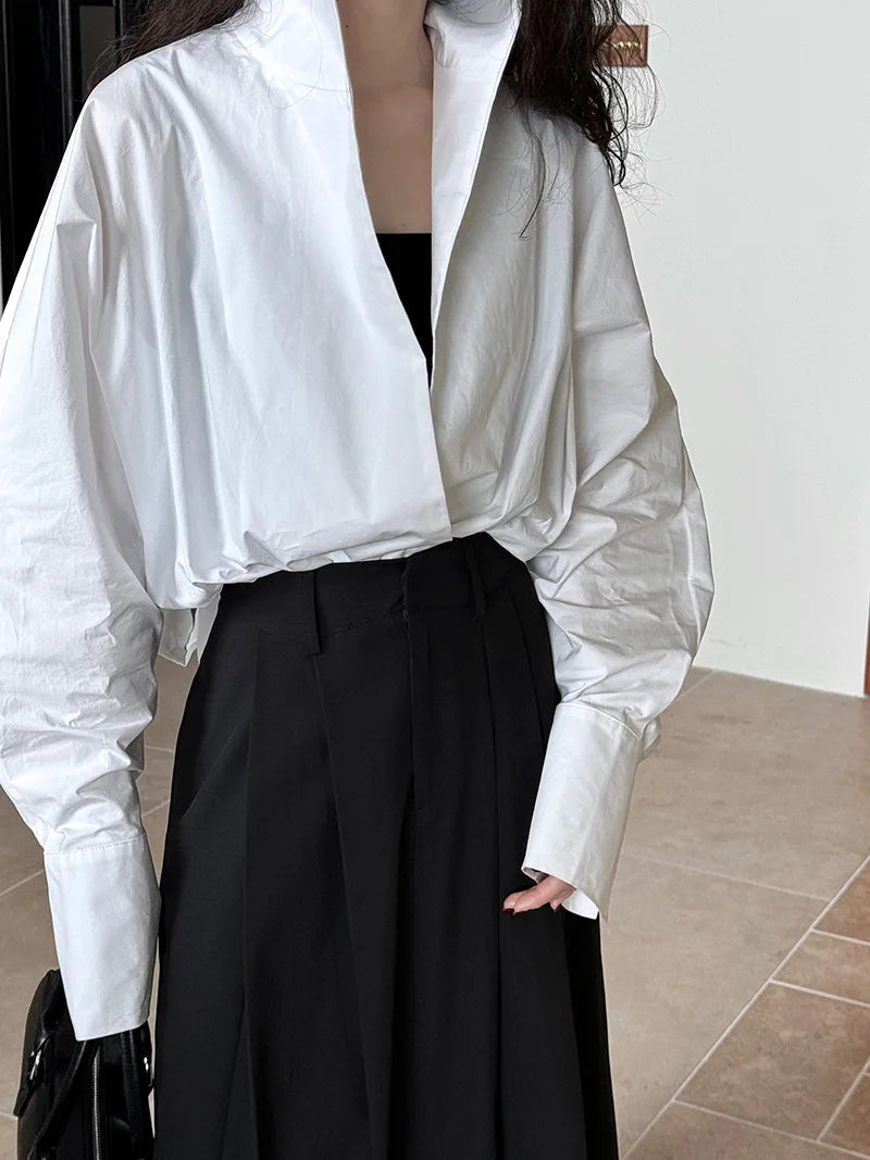 Batwing Sleeve Stand Collar Blouse