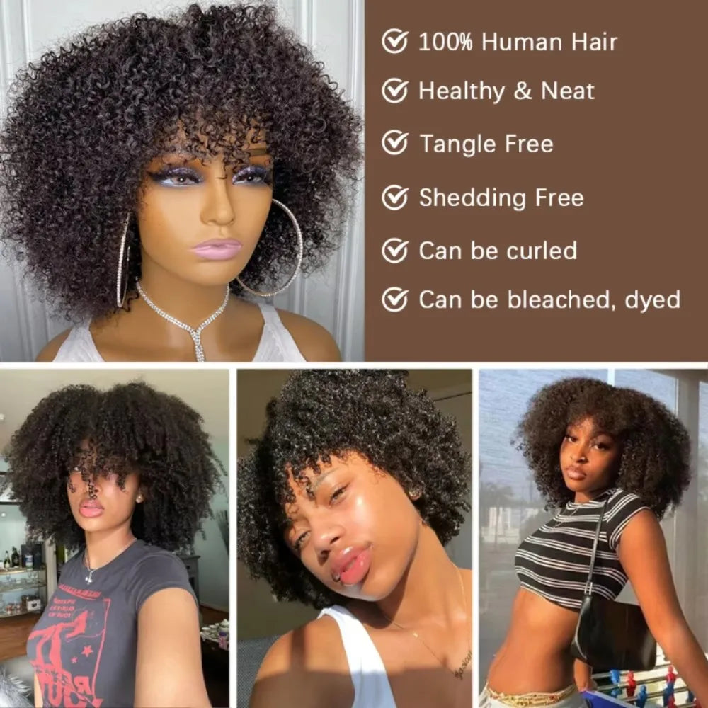 Short Kinky Curly Human Hair Wig With Bangs For Women