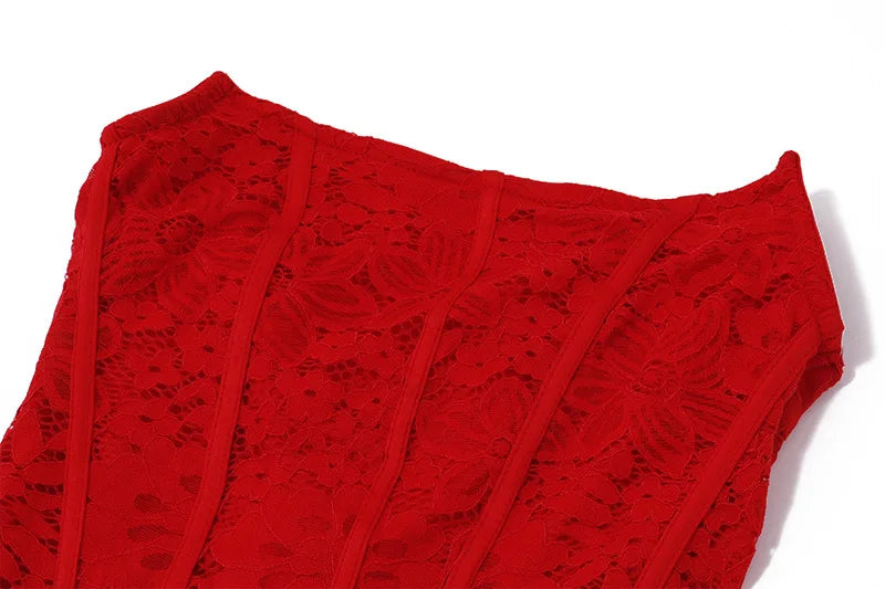Elegant Vintage See-Through Stretch Lace Dress for Women