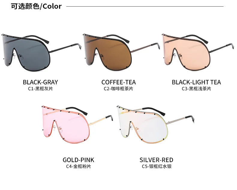 Large Frame Polarized Sunglasses