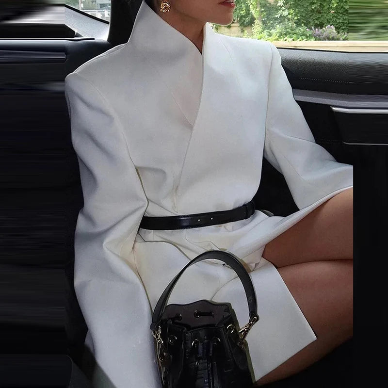 Casual Modern Elegant Stand Collar Concealed Button Coat for Women