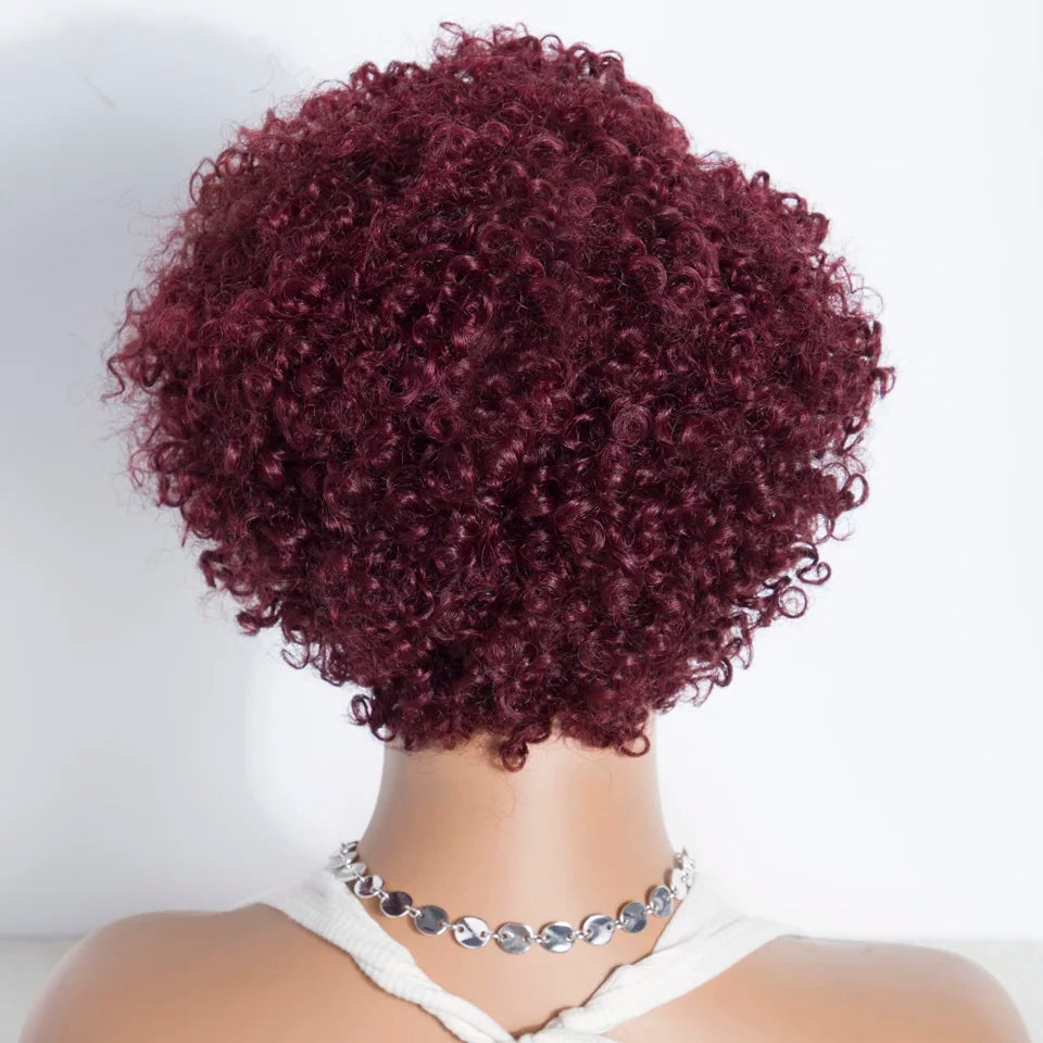 Short Kinky Curly Pixie Bob Human Hair Wig for Women