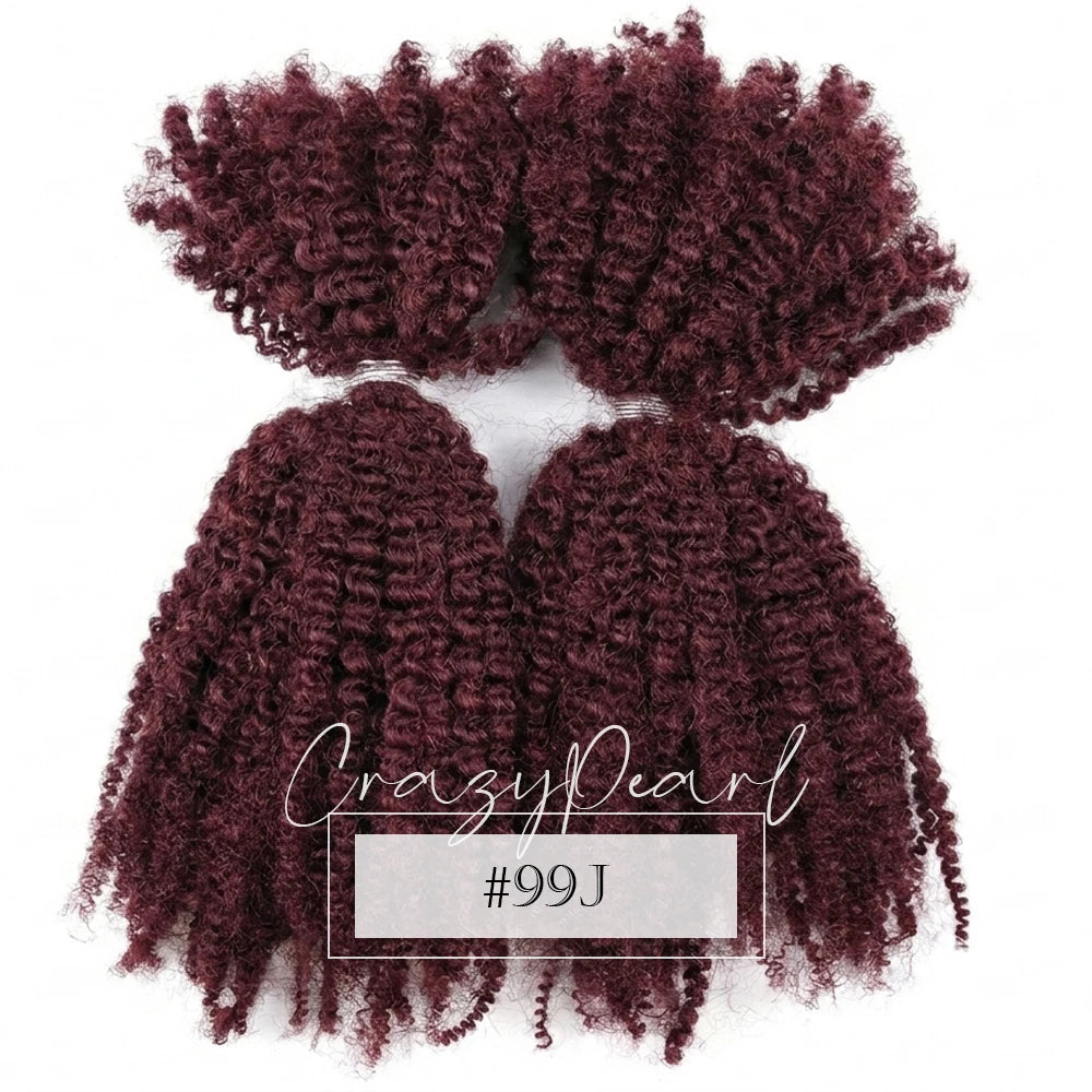 Natural Afro Kinky Curly Human Hair Extensions for Women