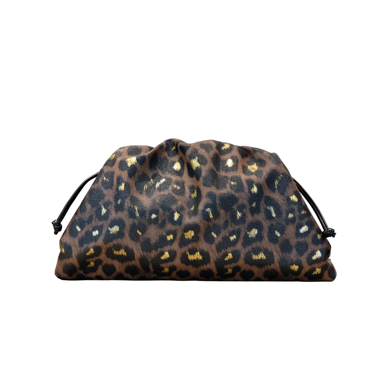 Elegant Ruched Serpentine Dumpling Shoulder Bag for Women