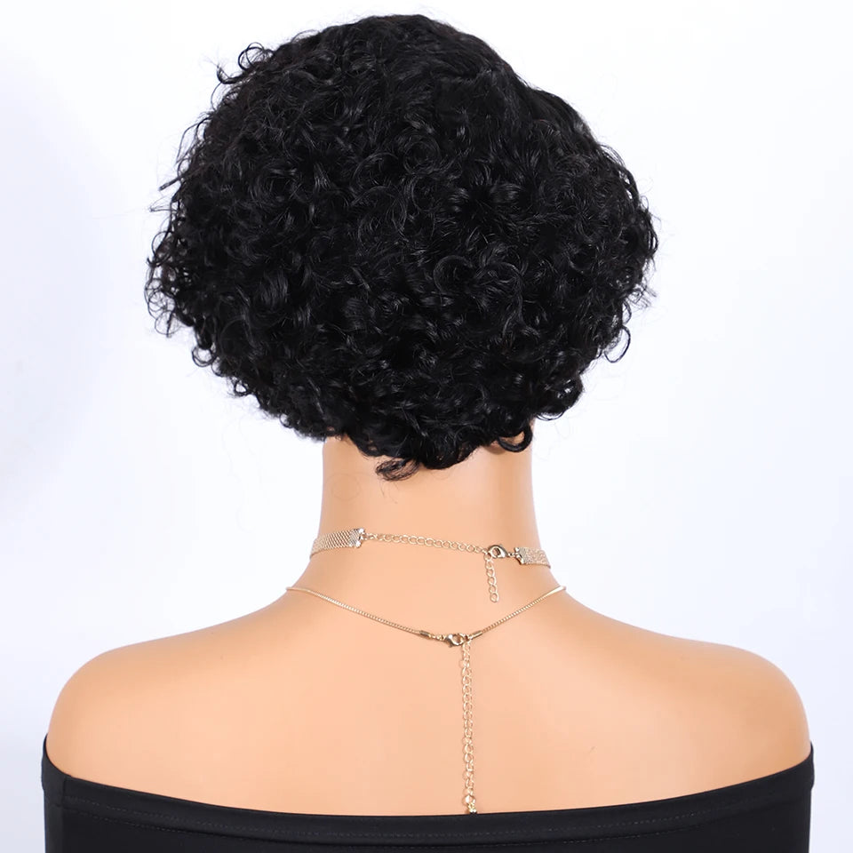 Curly Short Pixie Lace Front Wig Remy Human Hair Glueless for Women
