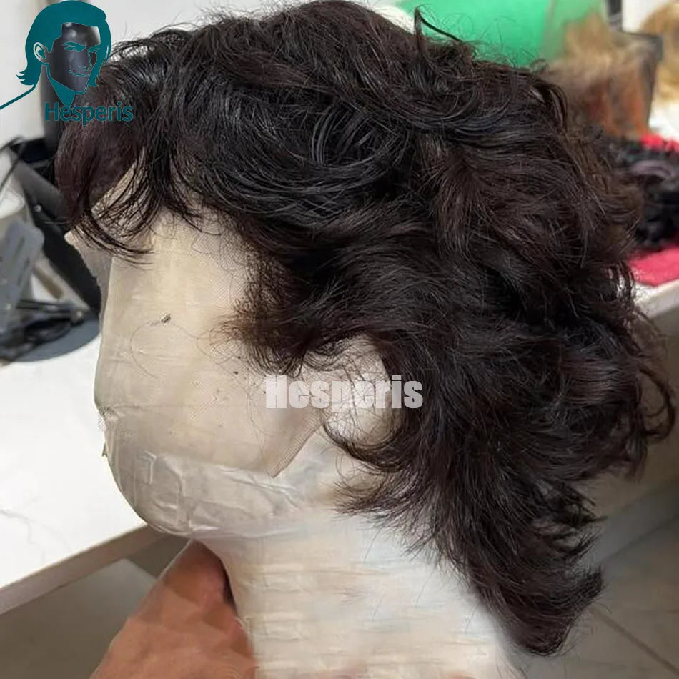 Short Curly Pre Plucked Lace Front Brazilian Wig For Men